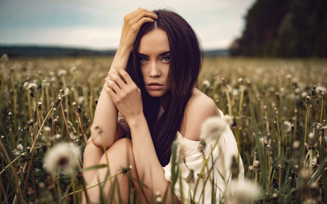Woman sitting dandelion field blurry free wallpaper for desktop - medium preview image
