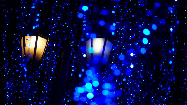 Streetlight blue lights tree glow free wallpaper for desktop - medium preview image