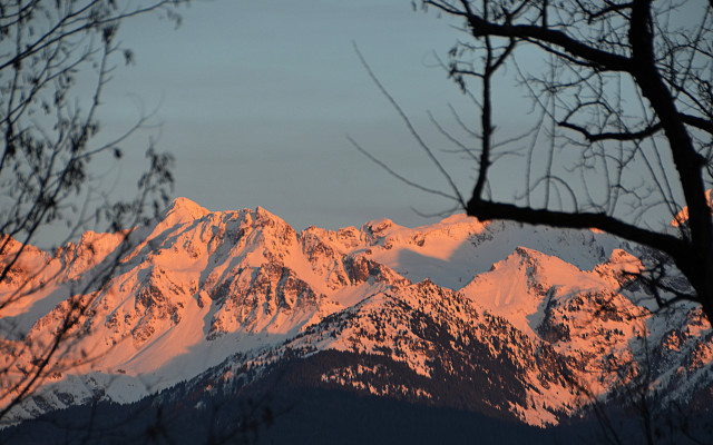 Mountain range autumn leaves forest free wallpaper for desktop - medium preview image