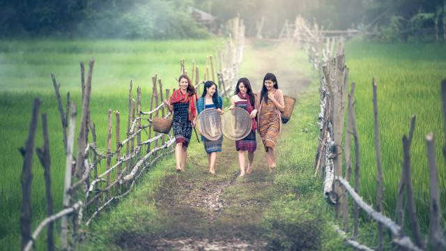 Three women basket water forest free wallpaper for desktop - medium preview image