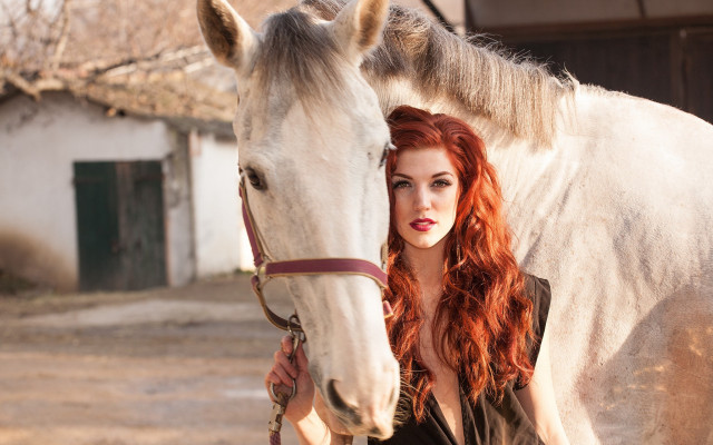 Red hair woman white horse free wallpaper for desktop - medium preview image
