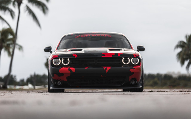 Red camo car palm trees free wallpaper for desktop - medium preview image