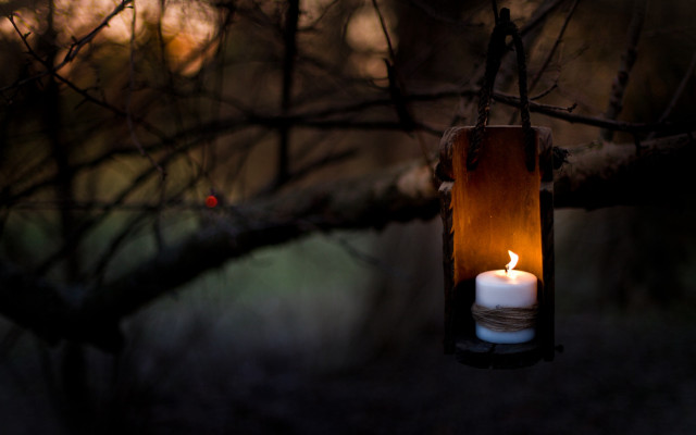 Lit candle hanging lantern forest free wallpaper for desktop - medium preview image