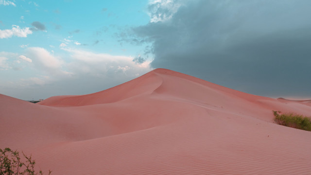 Large sand dune bush cloudy free wallpaper for desktop - medium preview image