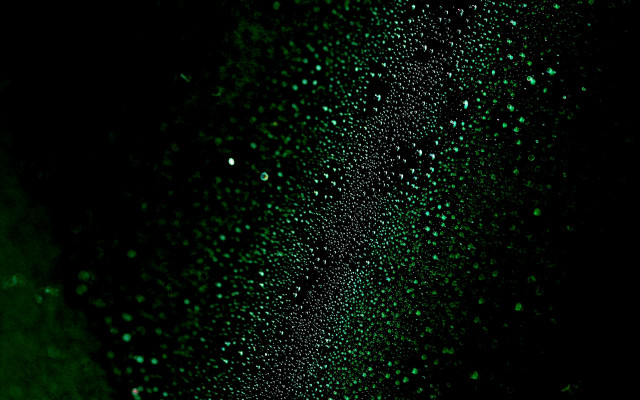 Green water drops macro starry free wallpaper for desktop - medium preview image