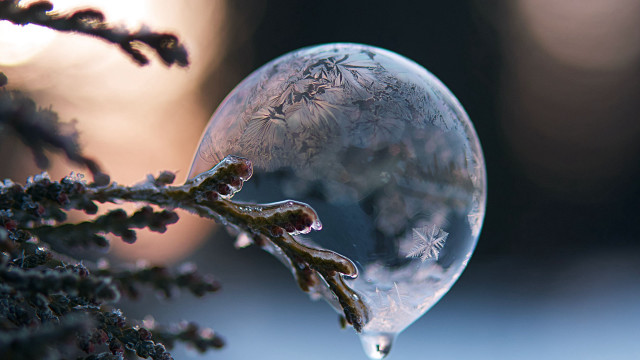 Frozen bubble snowy branch macro free wallpaper for desktop - medium preview image