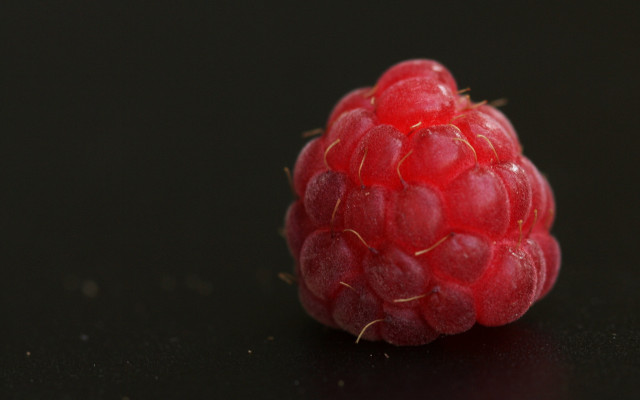 Raspberry black surface bites macro free wallpaper for desktop - medium preview image