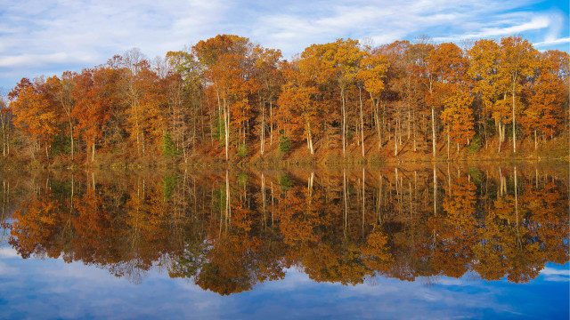 Autumn lake reflections forest sky free wallpaper for desktop - medium preview image