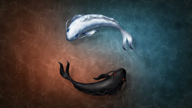 Fish couple floating pool surrealism free wallpaper for desktop - medium preview image