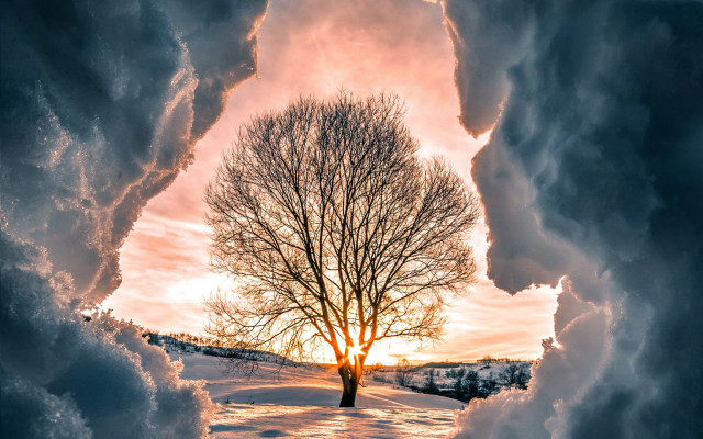Snowy tree sunset cityscape clouds free wallpaper for desktop - medium preview image