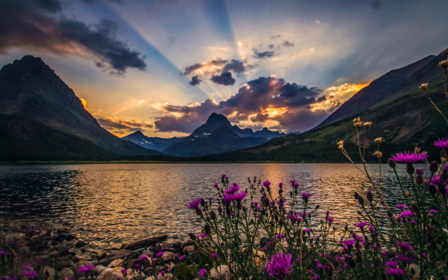 Sunset mountain lake wildflowers sky free wallpaper for desktop - medium preview image