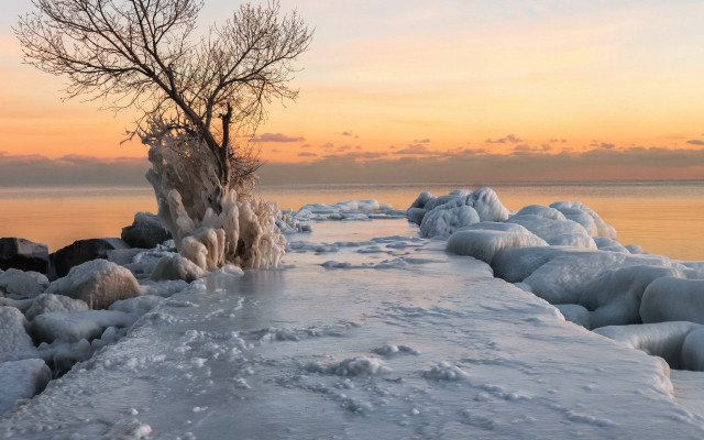 Frozen shoreline sunset tree mountains free wallpaper for desktop - medium preview image