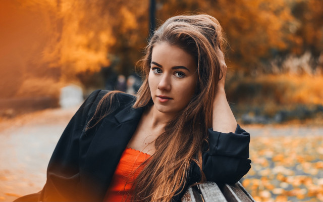 Woman ponytail bench park autumn free wallpaper for desktop - medium preview image