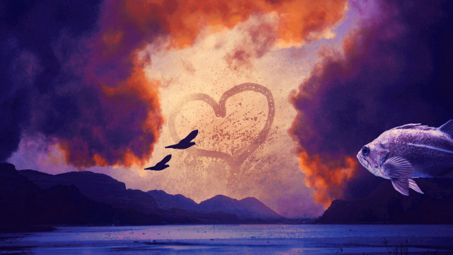 Heart fish bird lake cloud free wallpaper for desktop - medium preview image