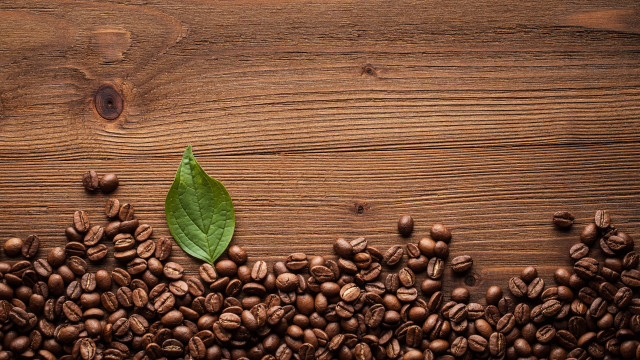 Green leaf coffee beans wooden free wallpaper for desktop - medium preview image