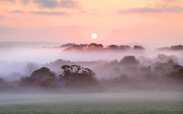 Foggy field trees sunset mountain free wallpaper for desktop - medium preview image