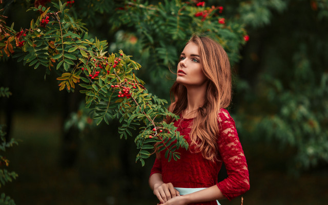 Woman red dress berry tree free wallpaper for desktop - medium preview image