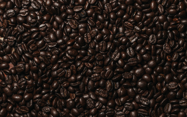 Coffee beans white brown borders free wallpaper for desktop - medium preview image