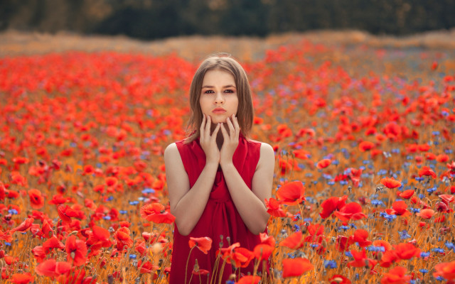 Woman red flower field autumn #2 free wallpaper for desktop - medium preview image
