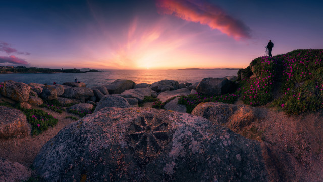 Rocky shore sunset pink clouds free wallpaper for desktop - medium preview image