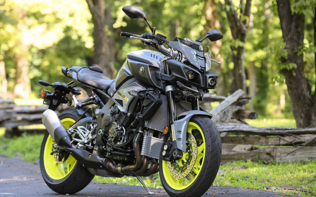 Motorcycle forest road fence bush free wallpaper for desktop - medium preview image