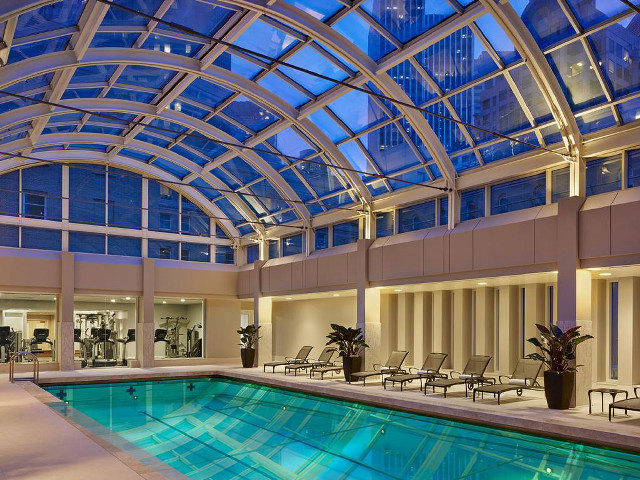 Indoor swimming pool skylight gym free wallpaper for desktop - medium preview image