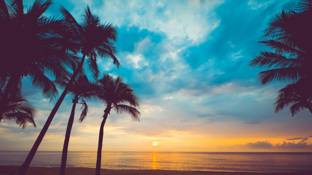 Sunset palm trees ocean clouds free wallpaper for desktop - medium preview image