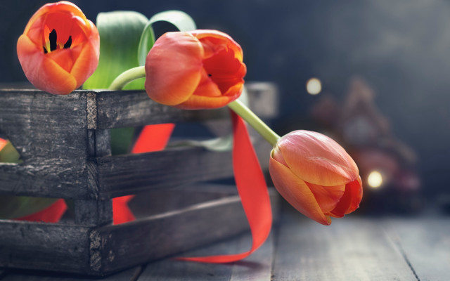 Wooden crate flower basket red free wallpaper for desktop - medium preview image