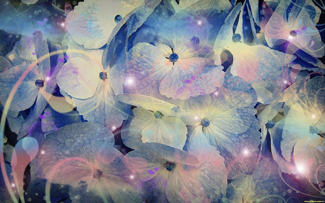 Flower blue background white circle free wallpaper for desktop - medium preview image