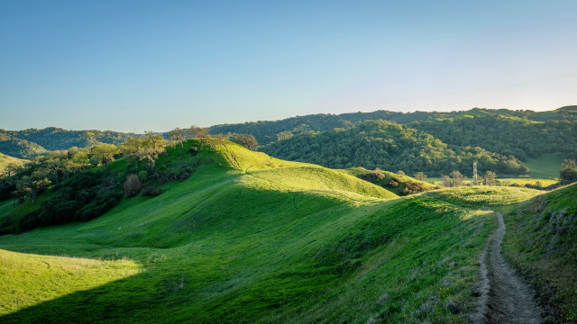 Grassy hill dirt path forest free wallpaper for desktop - medium preview image
