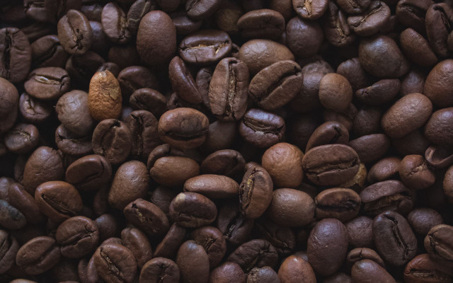Coffee beans brown pod photorealism free wallpaper for desktop - medium preview image