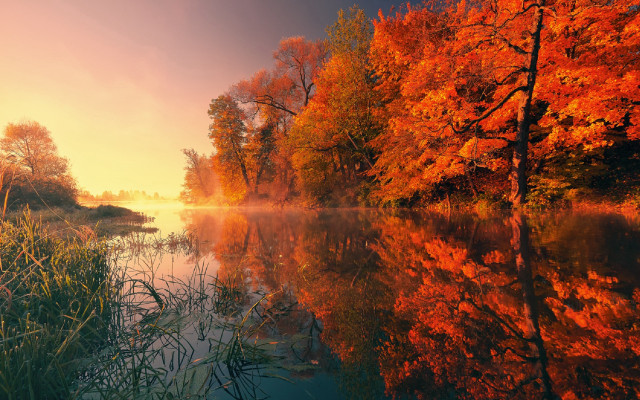 River trees sunset autumn magic free wallpaper for desktop - medium preview image