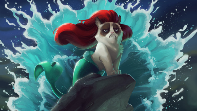 Cat ocean rock wave grumpy free wallpaper for desktop - medium preview image