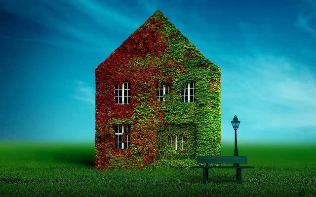 Green bench ivy building streetlight free wallpaper for desktop - medium preview image