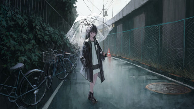 Woman walking rainy street bicycle free wallpaper for desktop - medium preview image