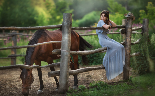 Woman blue dress fence horse free wallpaper for desktop - medium preview image