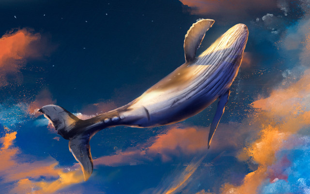 Whale floating sky clouds star free wallpaper for desktop - medium preview image