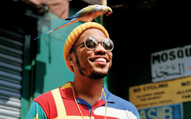 Man parrot sunglasses store renaissance free wallpaper for desktop - medium preview image