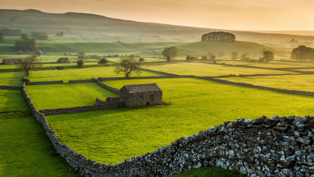 Green field stone wall stone free wallpaper for desktop - medium preview image