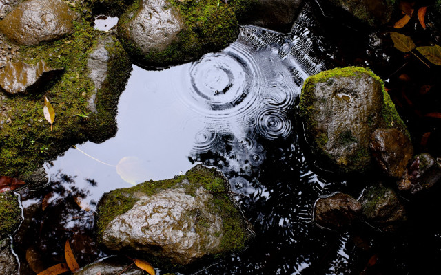 Puddle rocks leaves stream circular free wallpaper for desktop - medium preview image
