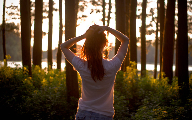 Woman forest sunset backlighting autumn free wallpaper for desktop - medium preview image