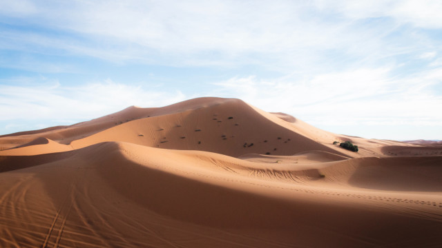 Desert sand dune trees clouds free wallpaper for desktop - medium preview image