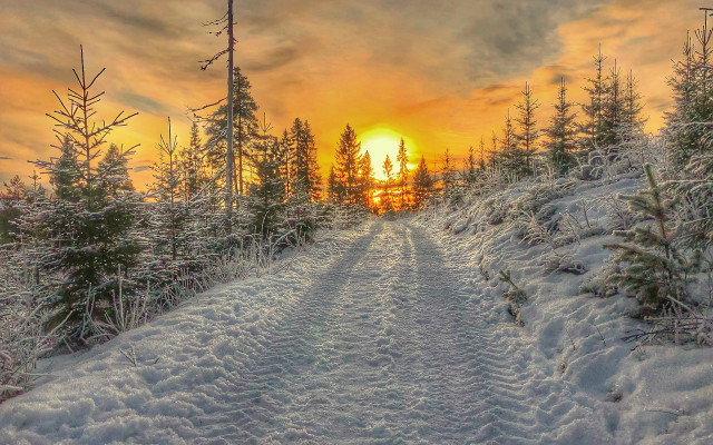 Snow covered road trees sunset free wallpaper for desktop - medium preview image