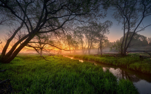 River forest sunset fog autumn free wallpaper for desktop - medium preview image