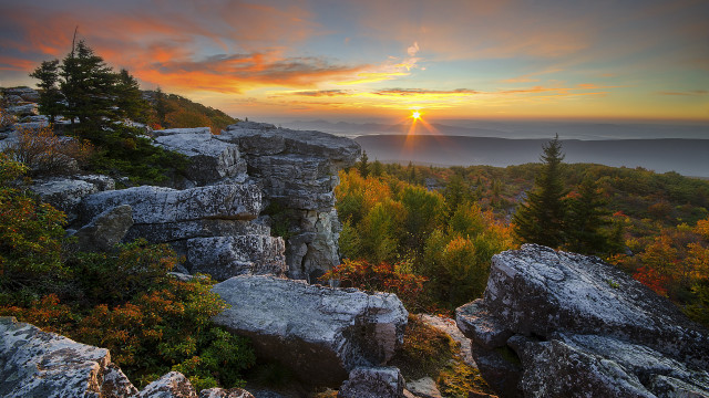 Sunset rocky mountain trees foreground free wallpaper for desktop - medium preview image