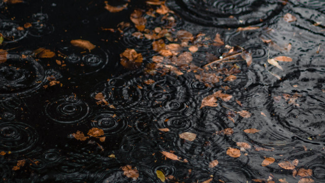 Puddle leaves tree autumn fire free wallpaper for desktop - medium preview image