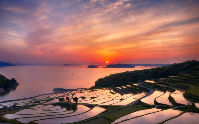 Sunset ricefield mountain water city free wallpaper for desktop - medium preview image