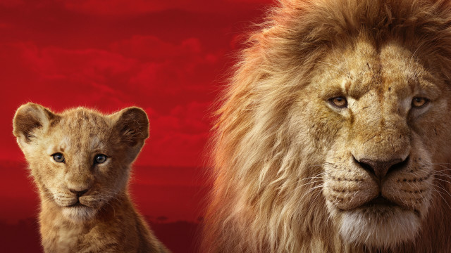 Lion cub red background animals free wallpaper for desktop - medium preview image