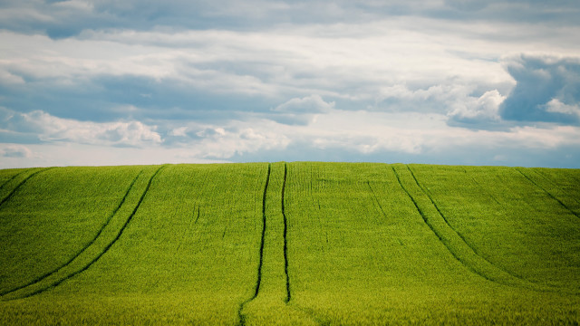 Field sky grass clouds beach free wallpaper for desktop - medium preview image