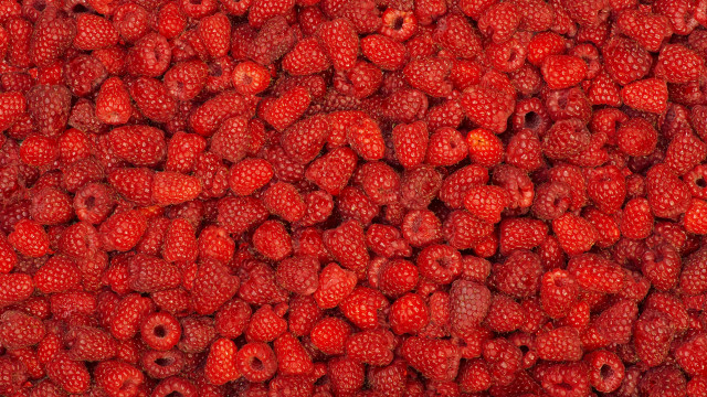 Raspberry pile generative art chris free wallpaper for desktop - medium preview image